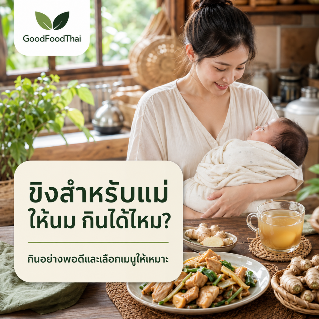 ขิงสำหรับแม่ให้นม กินได้ไหม? กินอย่างพอดีและเลือกเมนูให้เหมาะ - GoodFoodThai